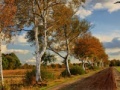 Game Russian Road