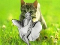 Game Kitty saevs the day!