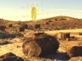 Game Treasure Hunt-Desert Forest