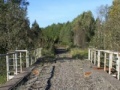 Game Diamond Bridge Escape