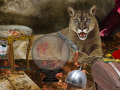 Game The Secrets of Felwood