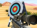 Game Hit Targets Shooting