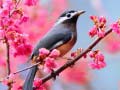 Game Lovable Birds