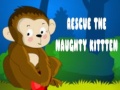 Game Rescue The Naughty Kitten