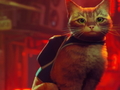 Game Stray
