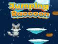Game Jumping Raccoon