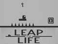 Game Leap of Life