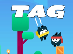 Game Tag