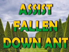 Game  Assist Fallen Down Ant