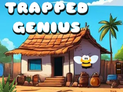 Game Trapped Genius