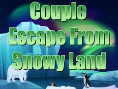 Game Couple Escape from Snowy Land