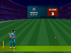 Game Cricket Night 2