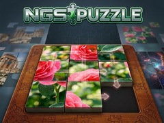 Game NGS Puzzle