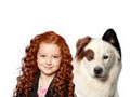 Dog dot com speletjies 