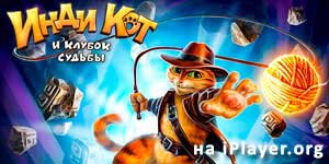 Indy Kat