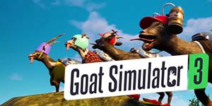 Bok Simulator 3 